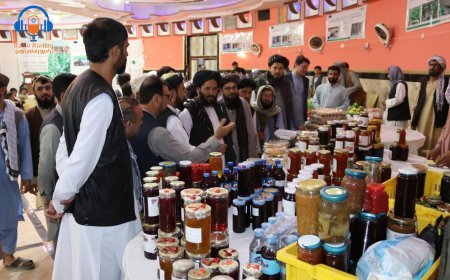 برگزاری نمایش‌گاه زراعتی در سمنگان