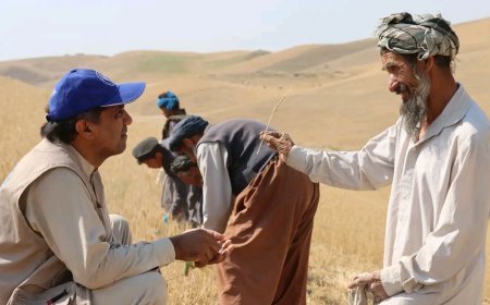 پیامد های خشک‌سالی در افغانستان