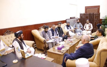 همکاری و هماهنگی ملل متحد در بخش جلوگیری از مواد مخدر