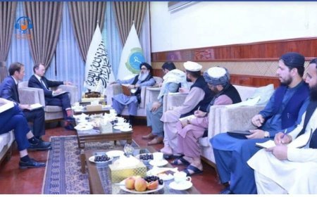 شارژدافیر بریتانیا و نمایندۀ تازه تعیین‌‌شدۀ این کشور در این دیدار اطمینان دادند که به همکاری‌های‌ خود در بخش صحت ادامه به افغانستان خواهند داد.