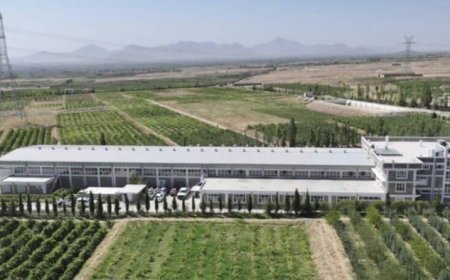 کارخانۀ پروسس کشمش با سرمایه‌گذاری هشت میلیون دالر امریکایی در ولسوالی استالف کابل افتتاح شد که سالانه ظرفیت پروسس ۱۰ هزار تُن کشمش را دارد.