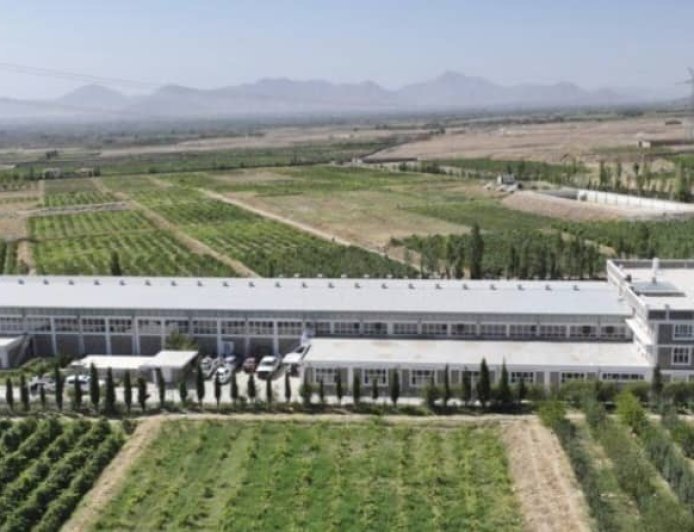 کارخانۀ پروسس کشمش با سرمایه‌گذاری هشت میلیون دالر امریکایی در ولسوالی استالف کابل افتتاح شد که سالانه ظرفیت پروسس ۱۰ هزار تُن کشمش را دارد.