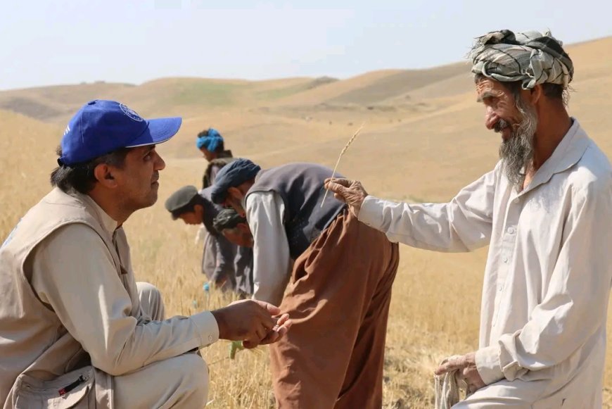 پیامد های خشک‌سالی در افغانستان