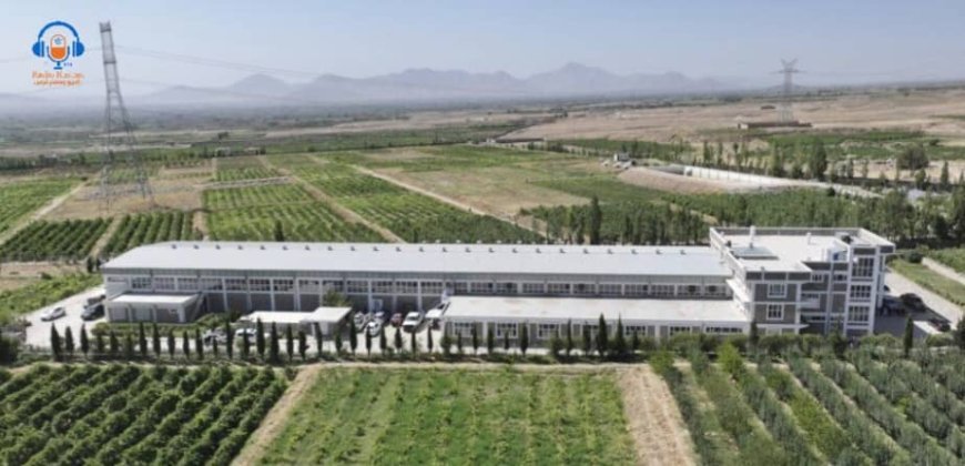کارخانۀ پروسس کشمش با سرمایه‌گذاری هشت میلیون دالر امریکایی در ولسوالی استالف کابل افتتاح شد که سالانه ظرفیت پروسس ۱۰ هزار تُن کشمش را دارد.
