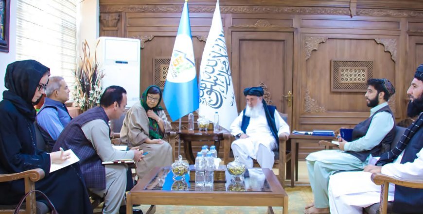 وزارت اقتصاد گفته است که هیئت معاونت ملل متحد در افغانستان اطمینان داده است که با کشورهای همسایه در مورد روند بازگشت داوطلبانه و مصوون مهاجران افغانستان گفتگو می‌کنند.