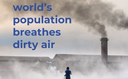 محیط سالم و مصوون حق اساسی هر انسان است