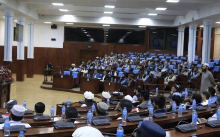 چندین تفاهم‌نامه تجارتی بین افغانستان و قزاقستان به ارزش ۱۳۳ میلیون دالر به امضا رسید