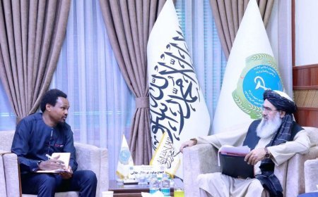 دیدار وزیر صحت عامه با نمایندگان سازمان صحی جهان و سازمان بین‌المللی مهاجرت