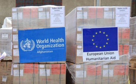 اتحادیه اروپا یک میلیون یورو به سکتور صحی افغانستان کمک کرده‌است