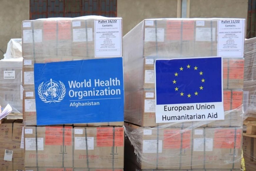 اتحادیه اروپا یک میلیون یورو به سکتور صحی افغانستان کمک کرده‌است