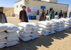 Supporting Families Who Depend on Livestock in Badghis Province