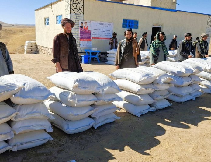 Supporting Families Who Depend on Livestock in Badghis Province